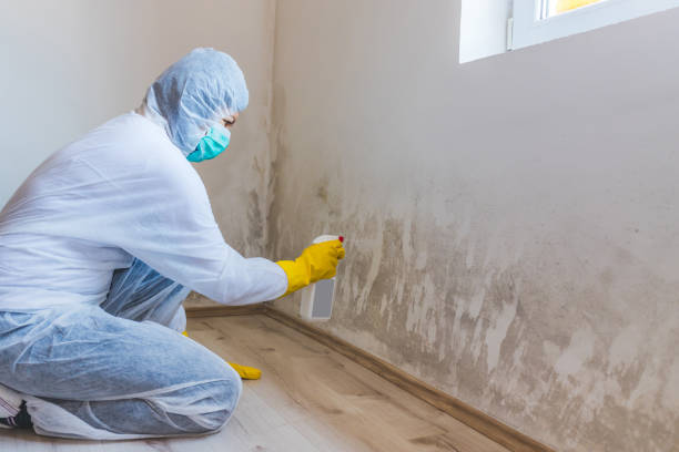 Mold Remediation specialist working in Clearfield